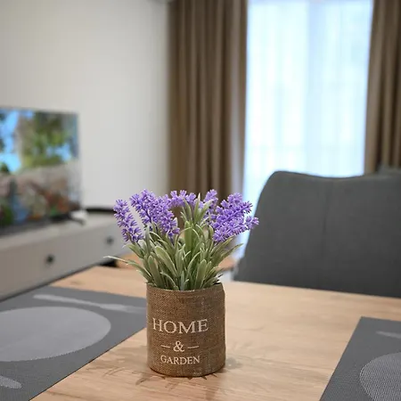 The Minimalist Escape 公寓 *