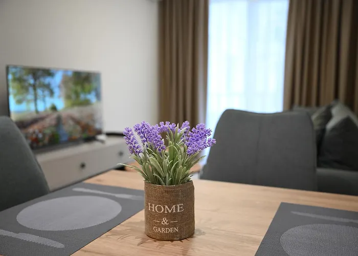 The Minimalist Escape 公寓 *